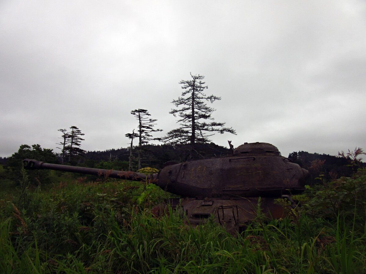 остров шикотан танки
