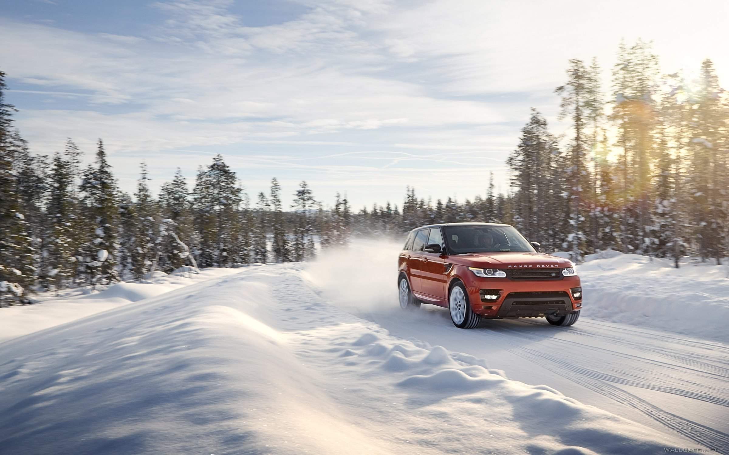 Едут новые. Рендж Ровер в лесу. Зимний Рендж Ровер. Range Rover 2014 Snow. Рендж Ровер в сугробе.