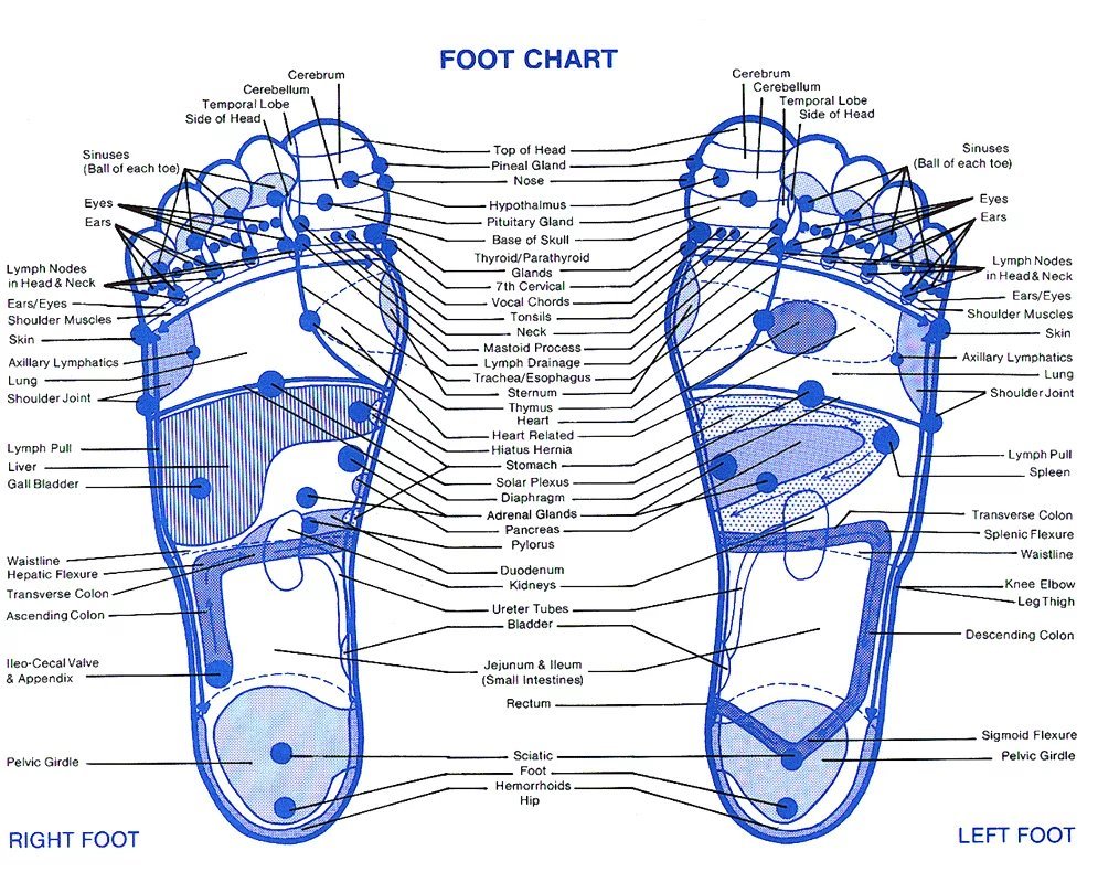 Карта ног внутренние органы