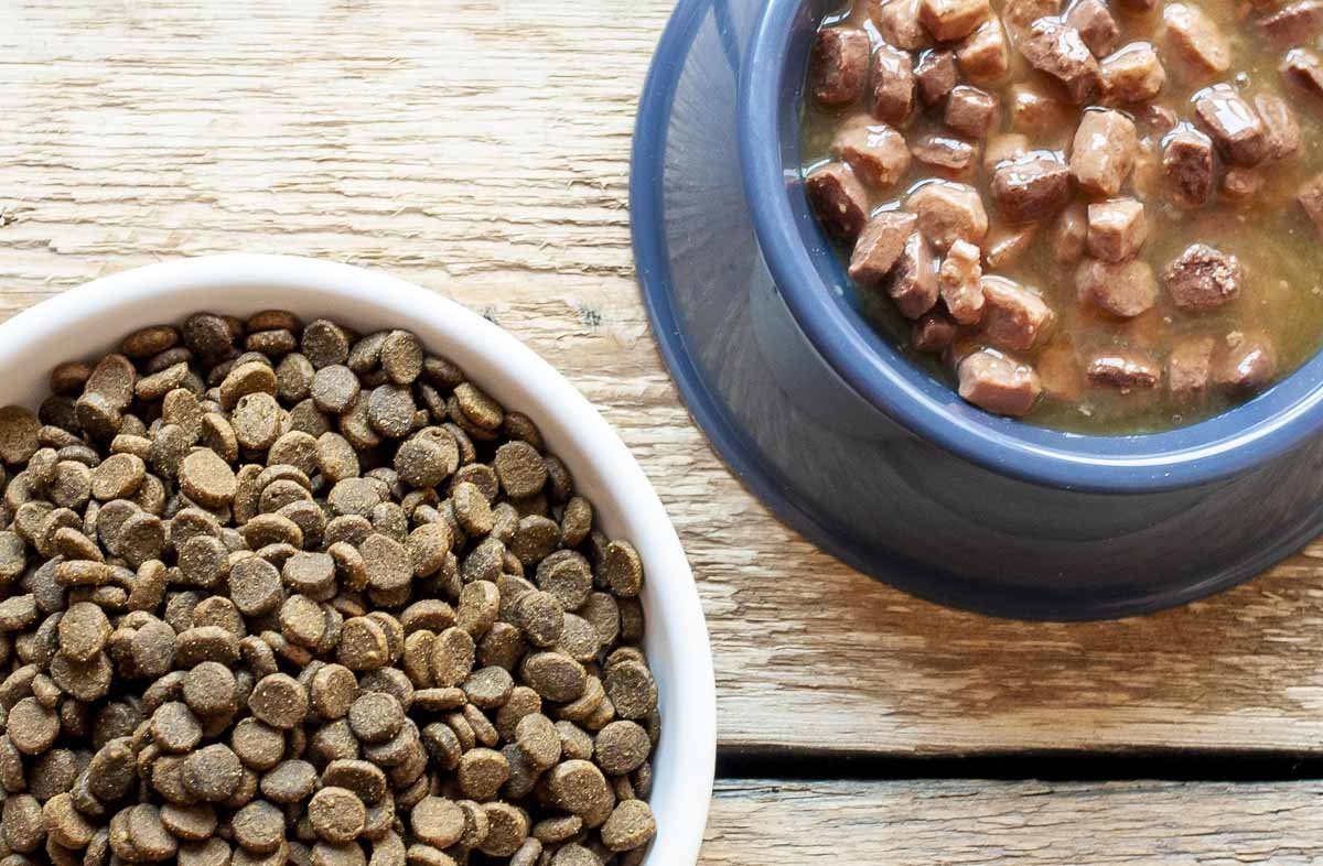 корма что это. правила кормление животных. кормовые добавки для коров. корма супер премиум класса для кошек холистик. сухой корм в миске.