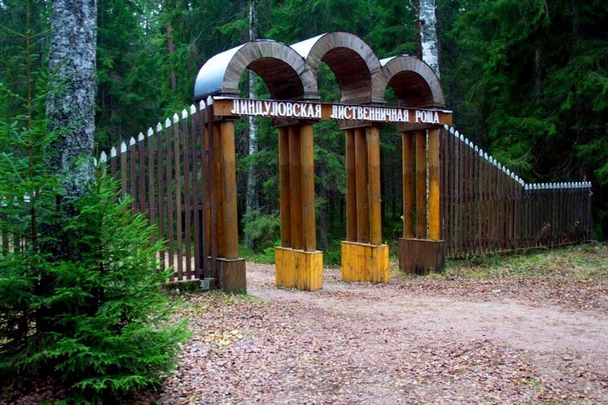 Роща санкт петербург