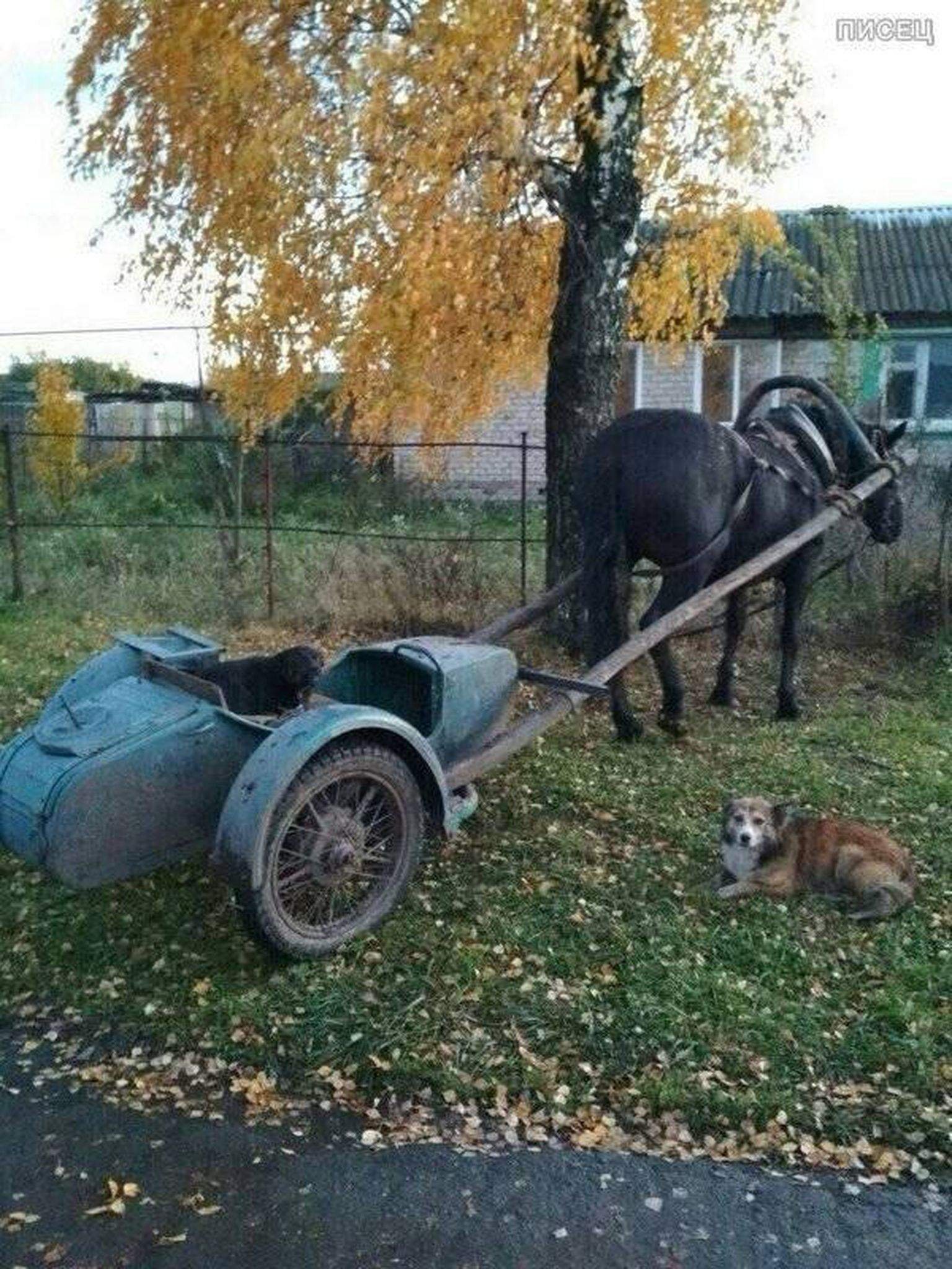 Приколы села. Приколы про деревню. Телега смешная. Сельские приколы. Деревенские приколы.