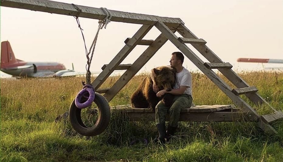 Air bear. Аэродром Орешково в Калужской области Мансур. Аэродром Орешково медведь Мансур. Летчик Андрей Иванов и медведь Мансур. Аэродром Орловка Медвежонок Мансур.