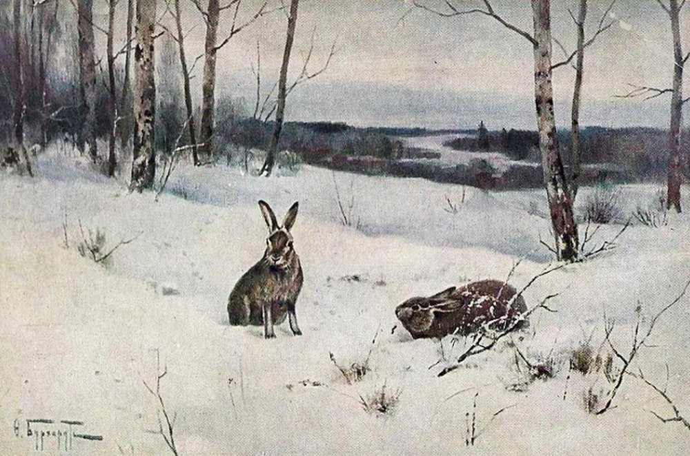 Зайцы зимой живут возле деревни впр ответы