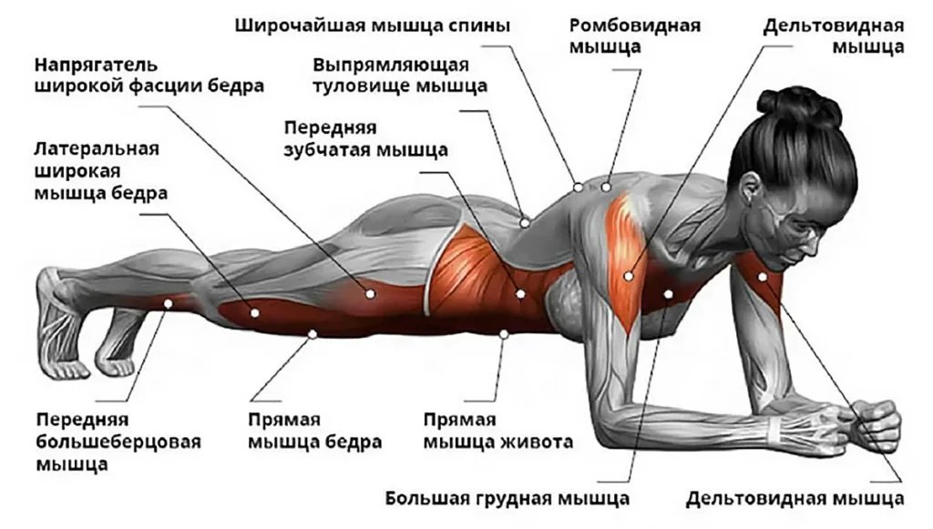 План в голове высокая планка