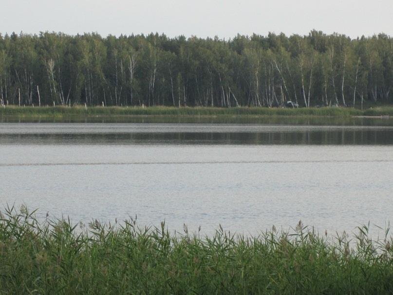 Лечебные озера челябинской области