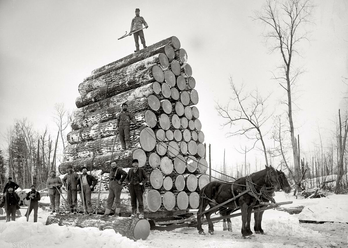 Лесозаготовки лесорубы 19 века