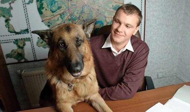 Павел вишняков биография и личная жизнь