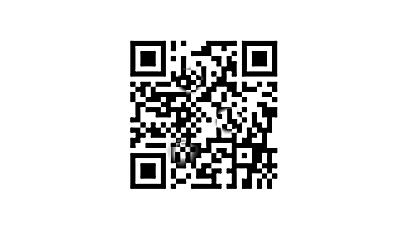 Как вывести qr код на терминале