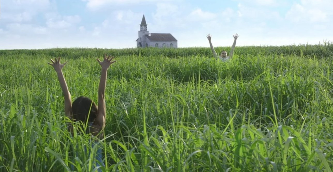 Высокая зеленая трава 2019. В высокой траве (in the Tall grass) 2019. В высокой траве Стивен Кинг фильм. Высокая зелёная трава фильм 2019 ужасы. В высокой траве фильм 2019 кадры.