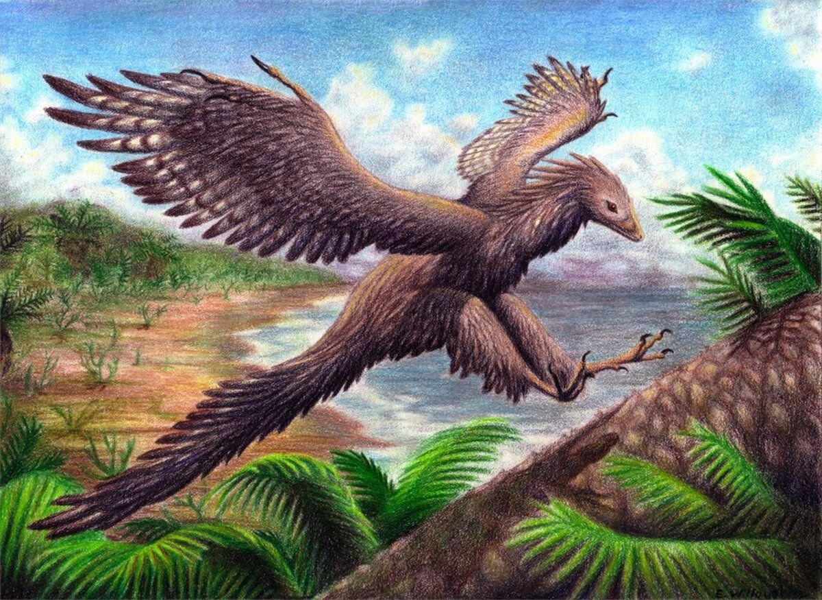 Древние птицы Археоптерикс