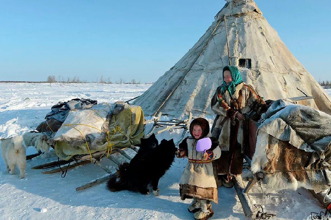 На севере жить картинки