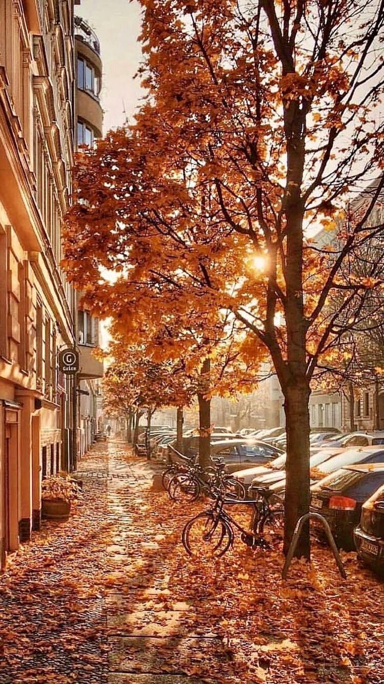Осенний Берлин