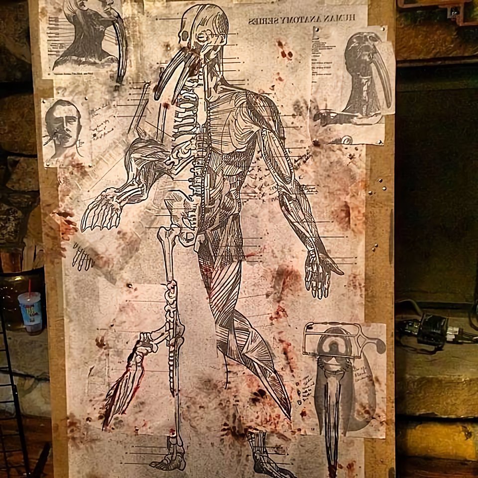 как сделать из человека моржа. про человека моржа. сообщение о людях моржах. про человека моржа. про человека моржа.