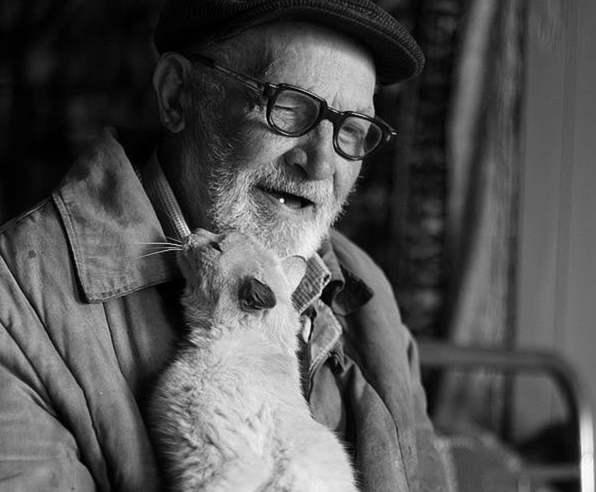 собака дед. дедушка мультяшный.