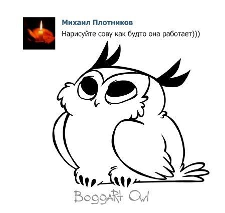 Как нарисовать сову мем