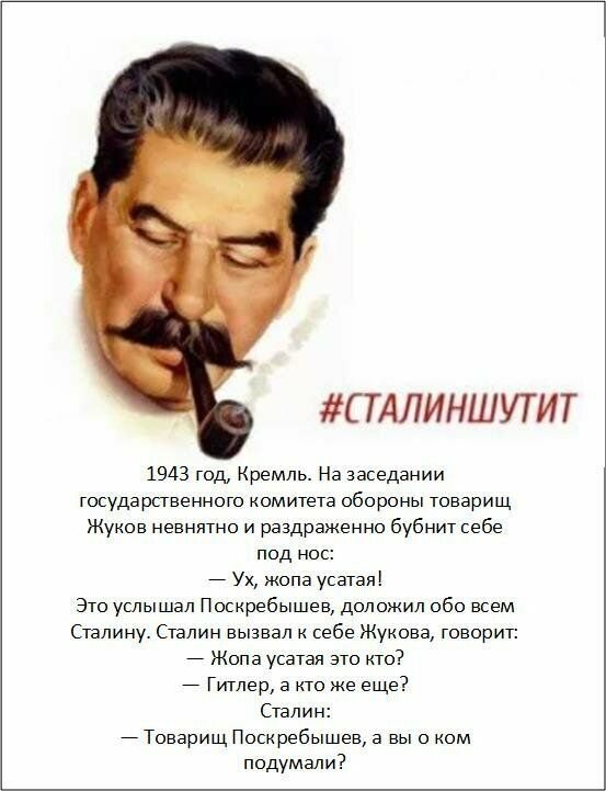 Лучшие исторические анекдоты про Сталина