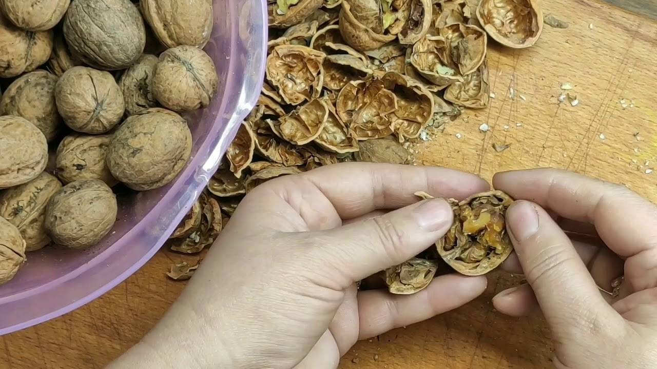 Что делать скорлупой ореха