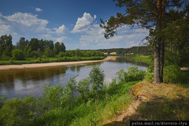 Устьяны фото архангельская область