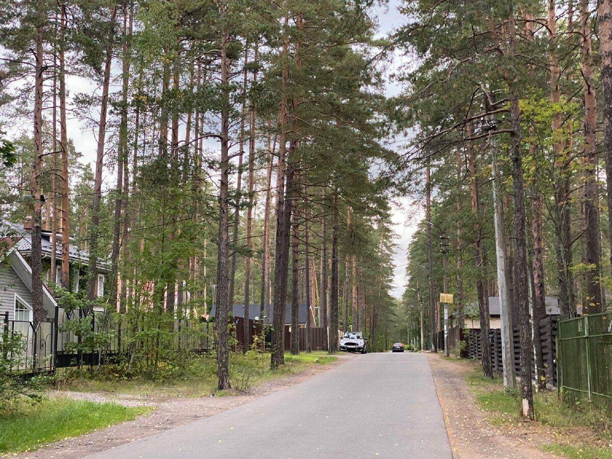 Комарово санкт петербург. Поселок Комарово. Комарово, посёлок Комарово. Поселок Комарово СПБ.