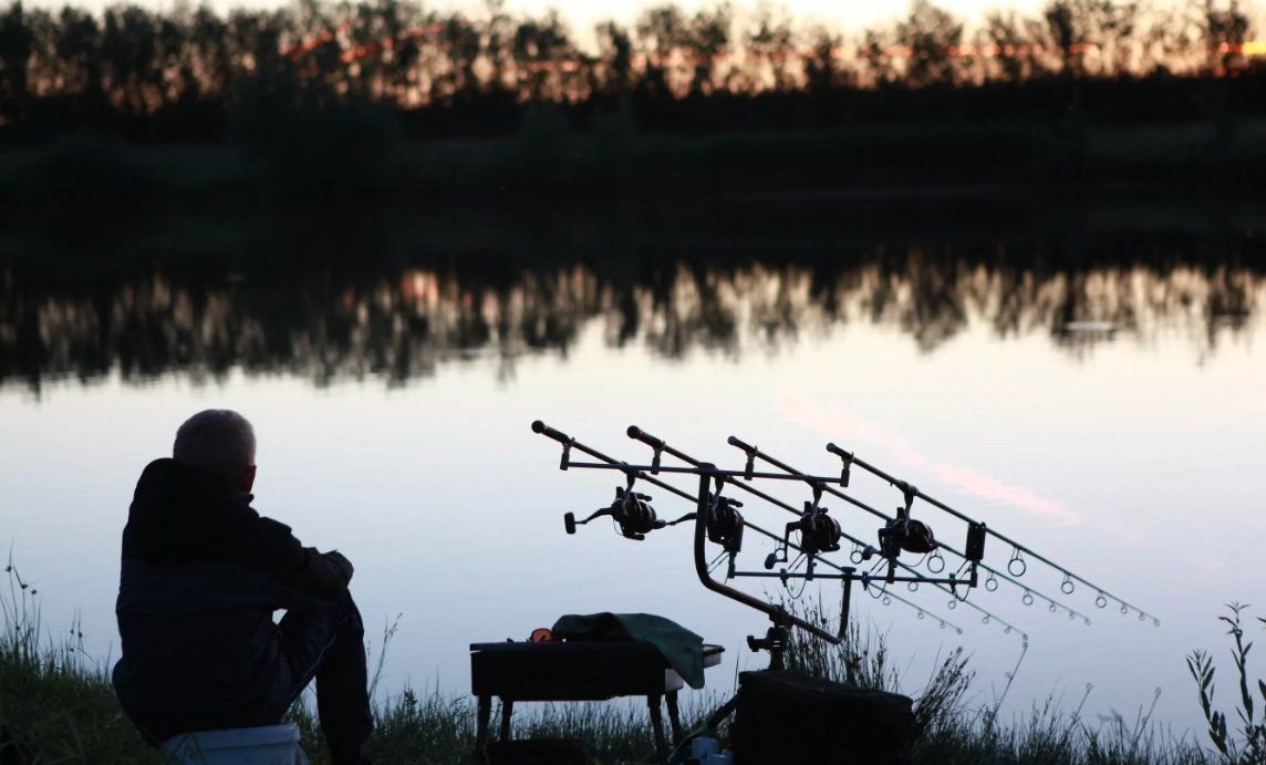 Карповая рыбалка. Красивые места для рыбалки. Фадеев карп. Карповая ловля. Рыбалка на карпа.