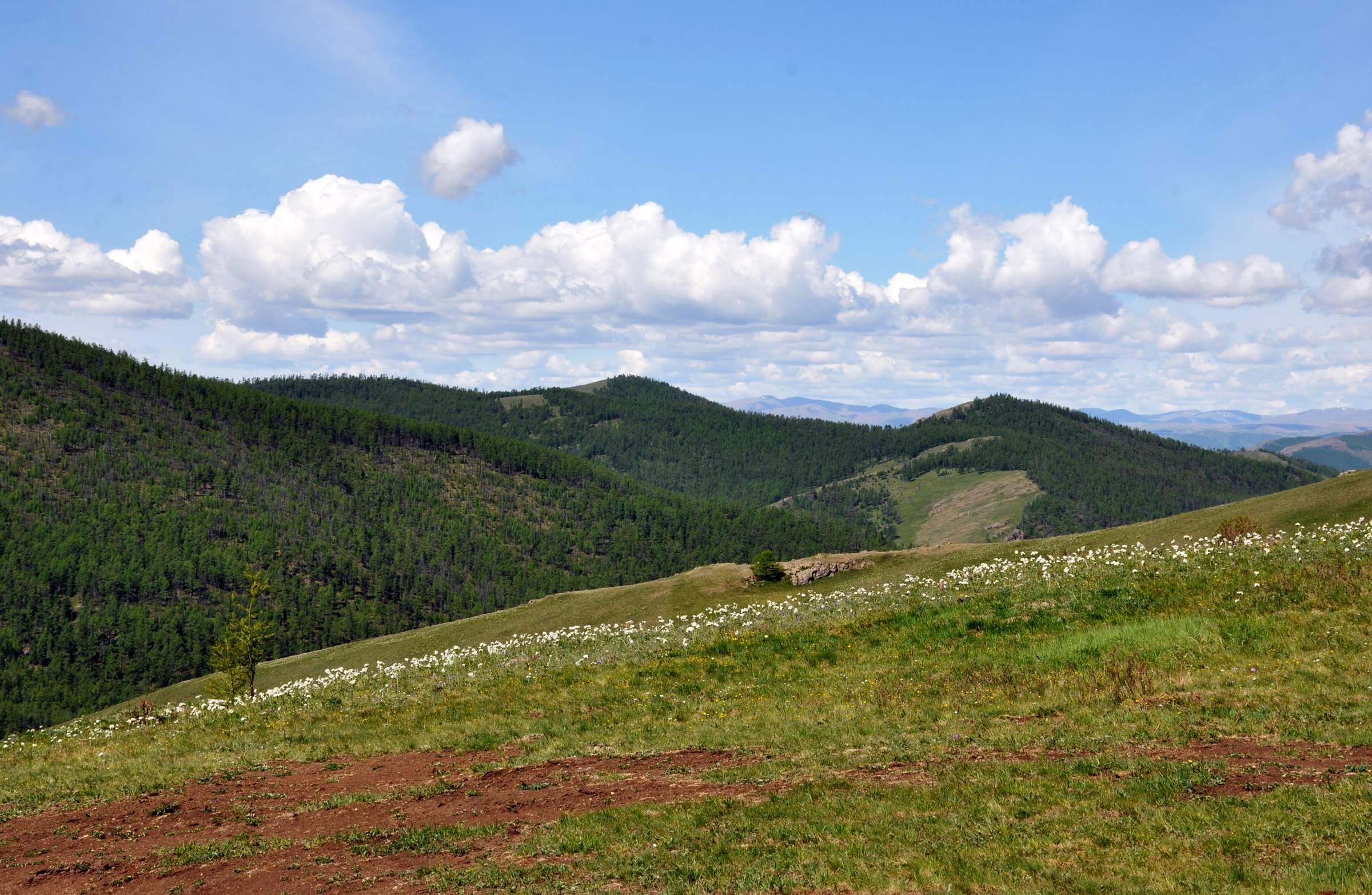 Хангайские горы