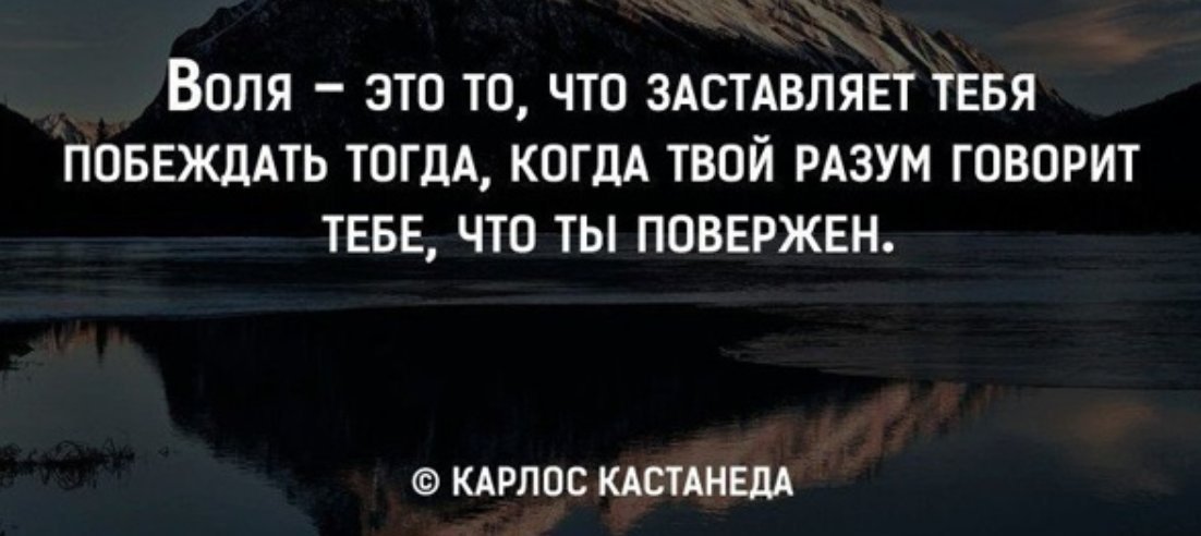 Сила воли плюс характер картинки