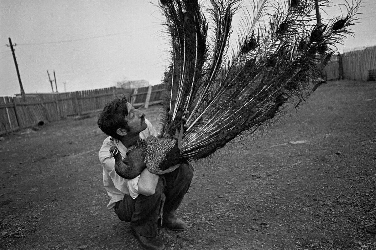 Ляля кузнецова фотографии