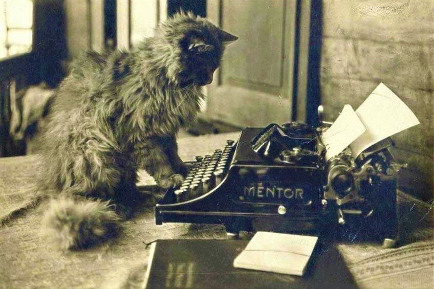 Писатель пишущий о животных. Котик писатель. Ретро котики. Писатель за печатной машинкой. Кот за печатной машинкой.