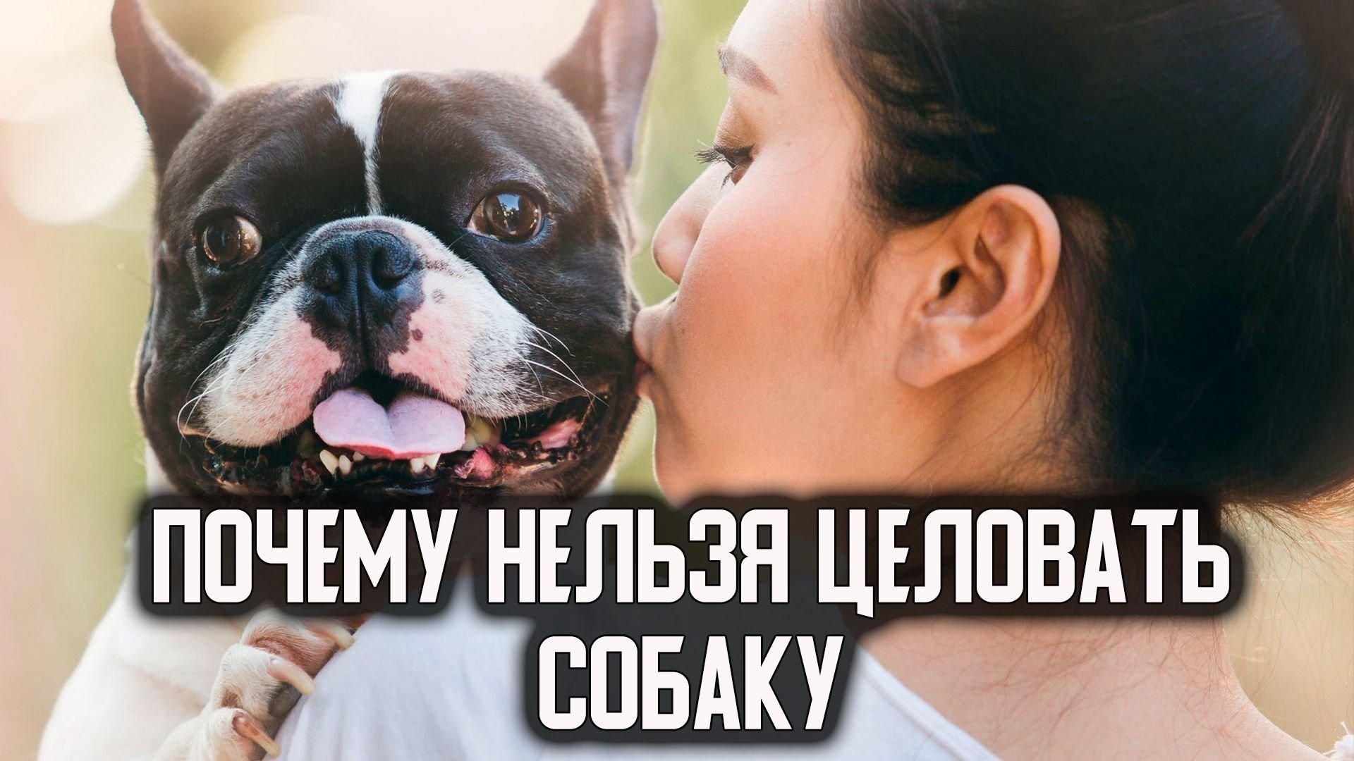 Человек целует собаку. Рисунки домашние питомцы отношение к хозяевам. Поцелуй с собакой. Можно целовать собаку. Собачий поцелуй.