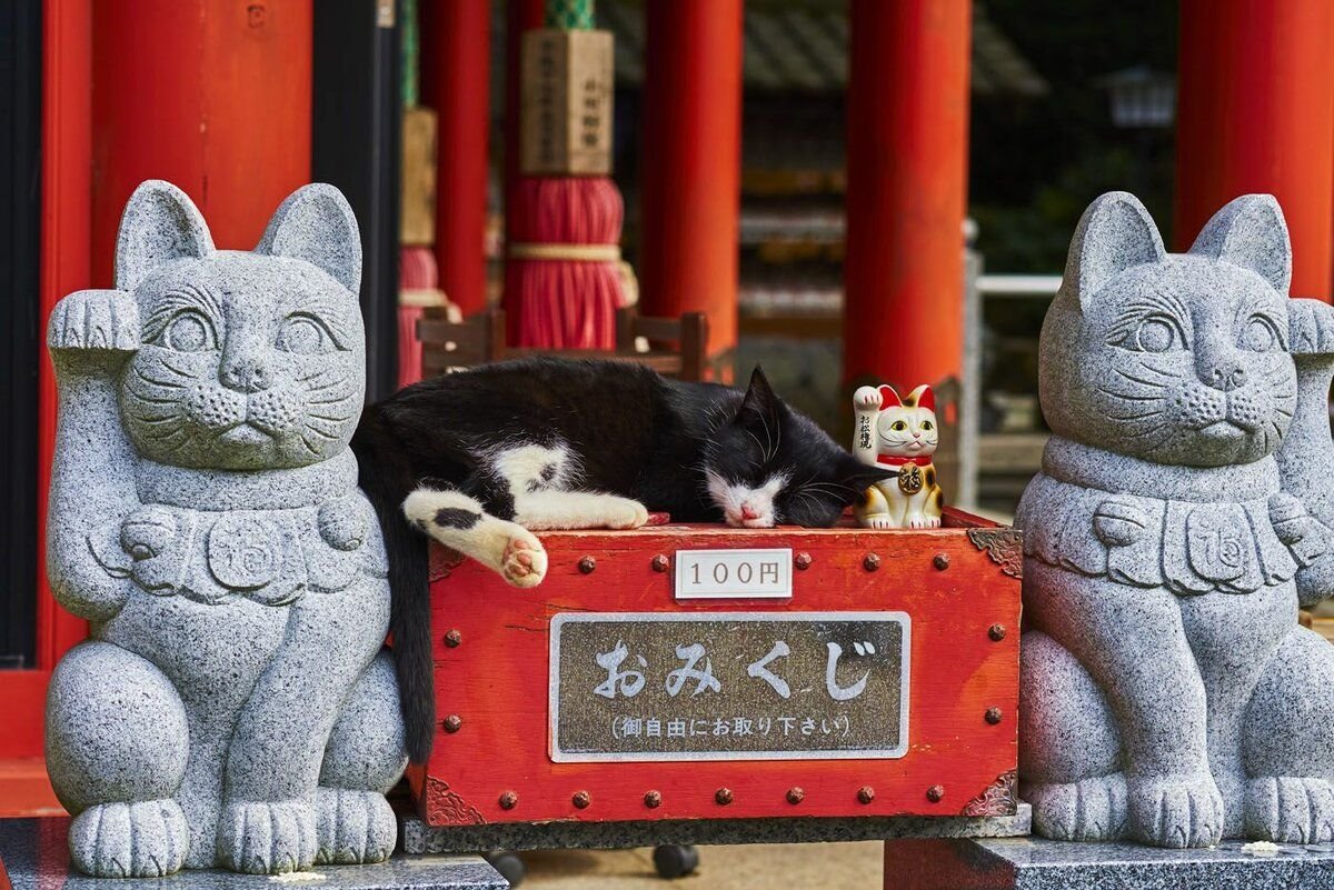 Храм в Токио в честь кошки Манеки-неко