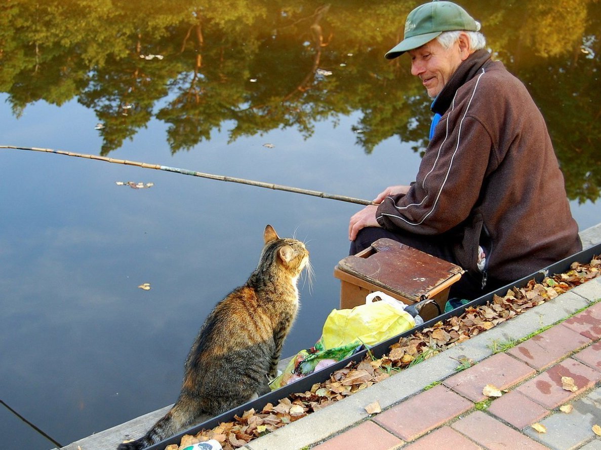 Веселый клев. Кот Рыбак. Кот на рыбалке. Кот с рыбой. Кот ловит рыбу.