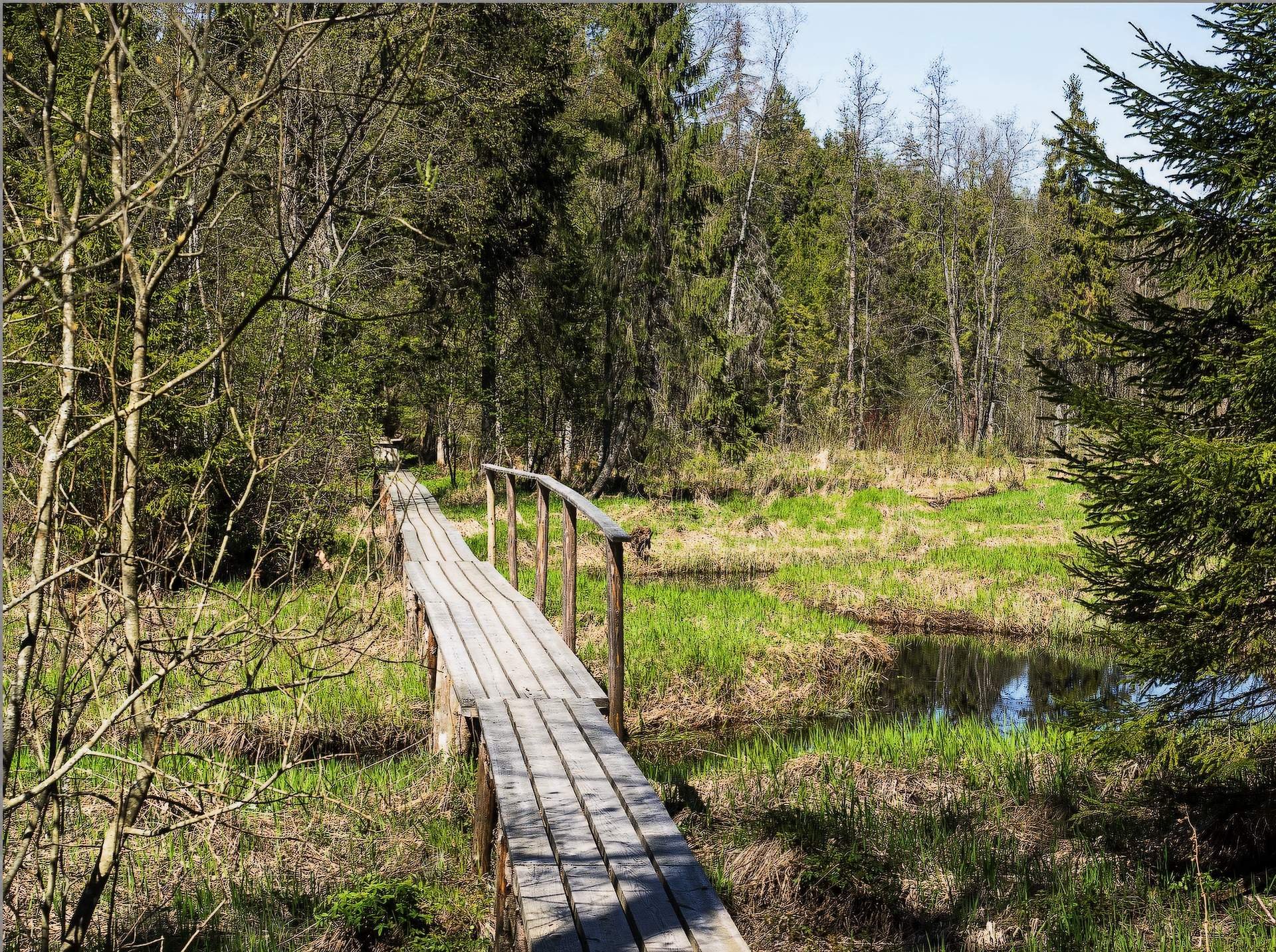 Фото новоорловский заказник