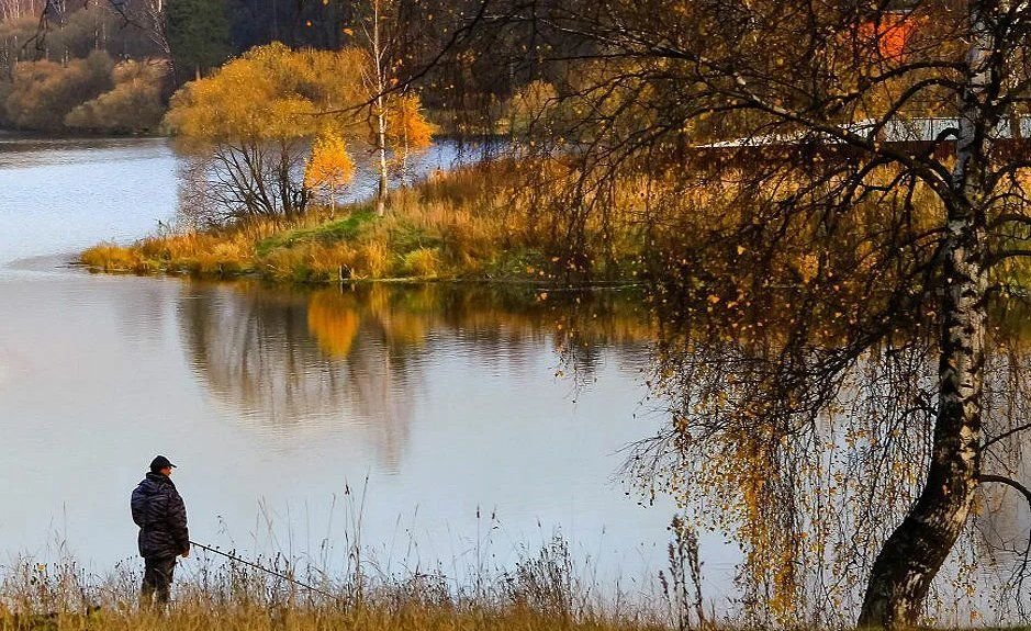 Рыбы осени. Осенняя рыбалка. Рыбалка осенью. Осенняя рыбалка на озере. Рыбак осенью.