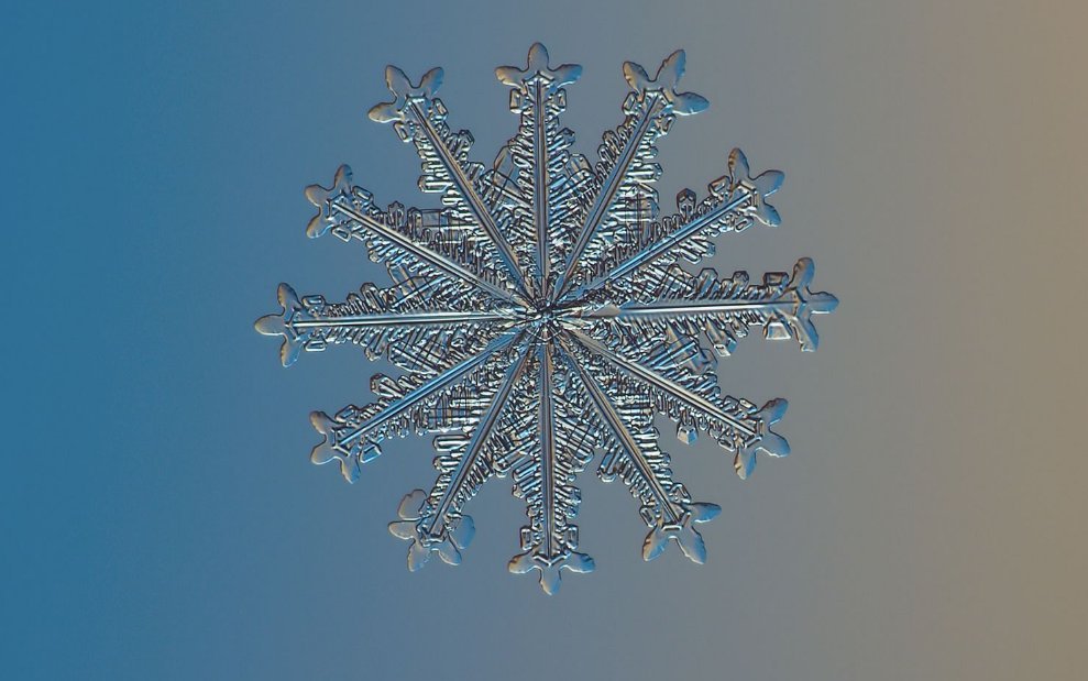 капельки и снежинки. макросъемка капель воды. капля воды и снежинка. капля воды и снежинка. снежинка из капли воды.