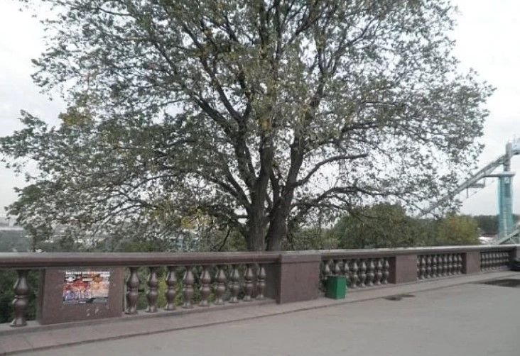 Бригада на воробьевых горах