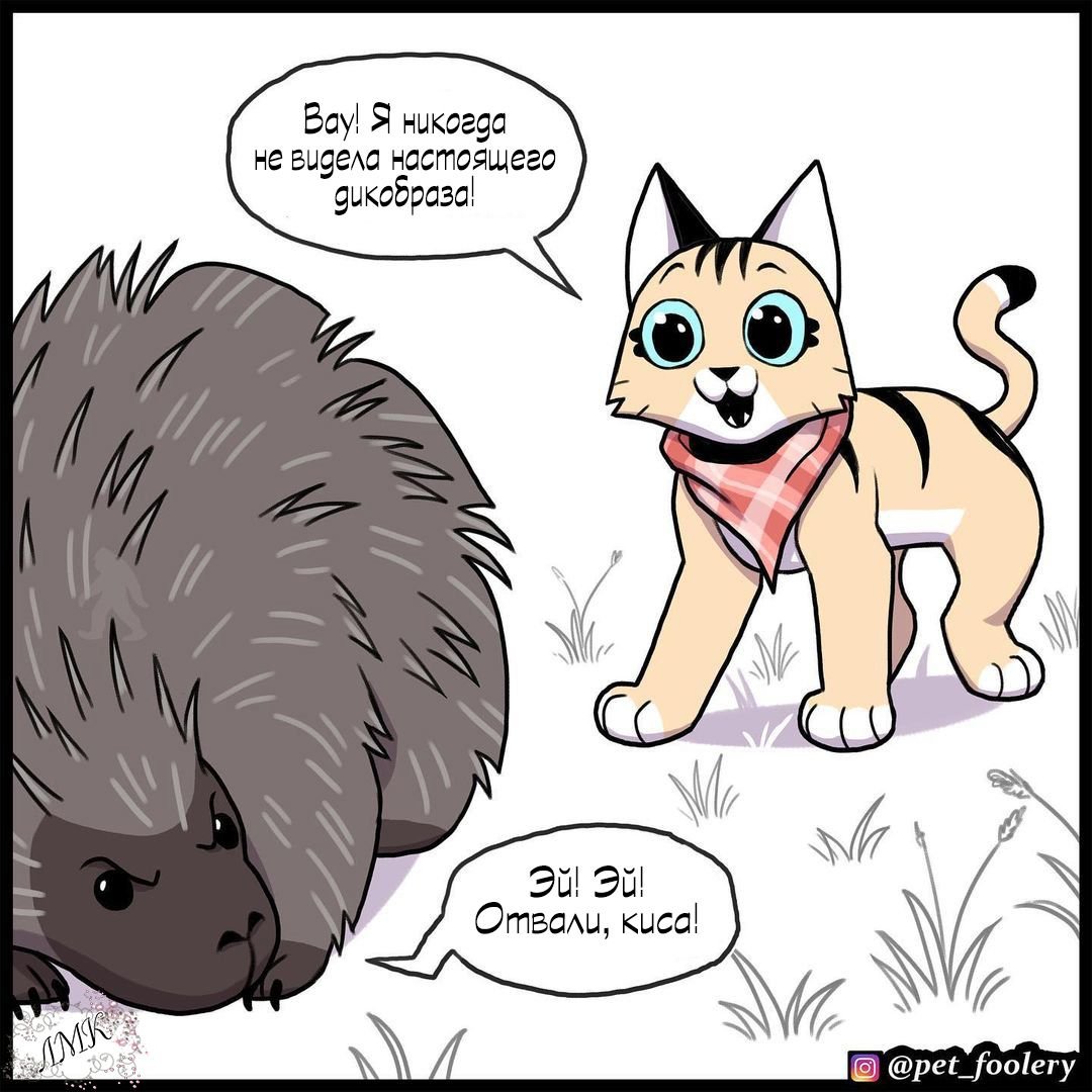 Pet_Foolery комиксы Пикси и Брутус