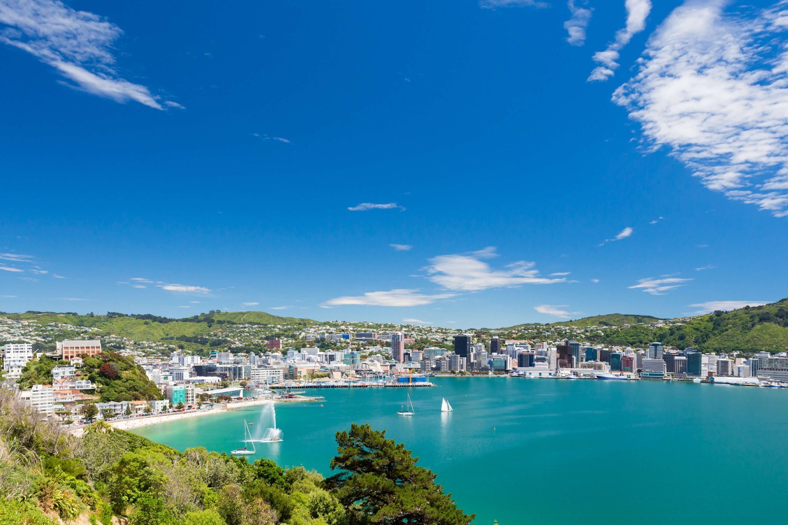 Wellington new zealand. Веллингтон (новая Зеландия). Новая Зеландия столица Веллингтон. Столица новой Зеландии фото. Веллингтон, Канберра, порт-Морсби..