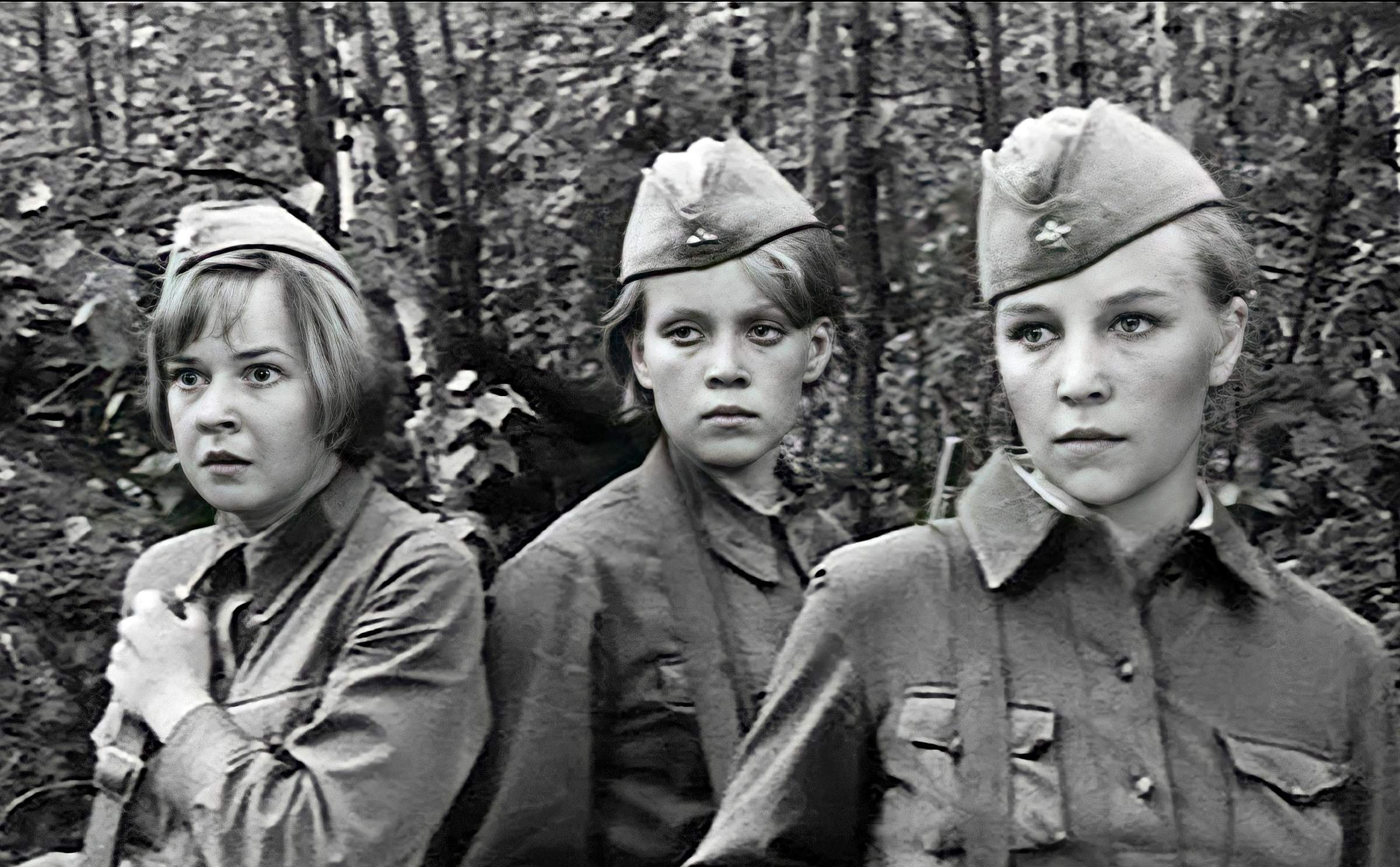 А зори здесь тихие смысл. А зори здесь тихие Ростоцкий.