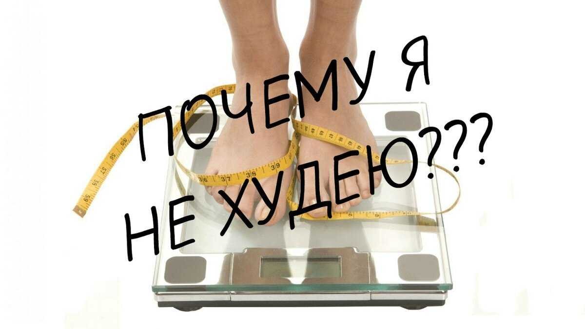 Почему не худею