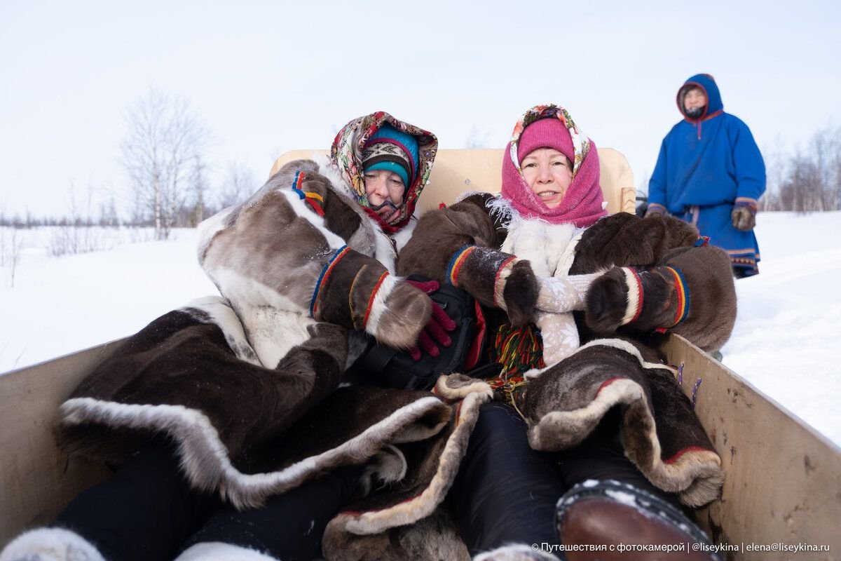 -30 °С зимой в тундре — абсолютно обычная и нормальная температура