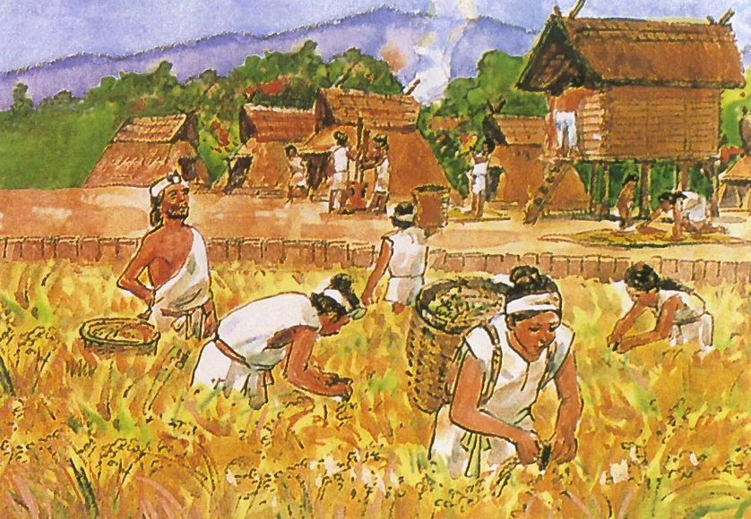 Оседлый быт. Первобытное общество Неолит земледелие. Неолитическая революция земледелие и скотоводство. Неолитическая революция земледелие. Азия древний Египет земледелие.