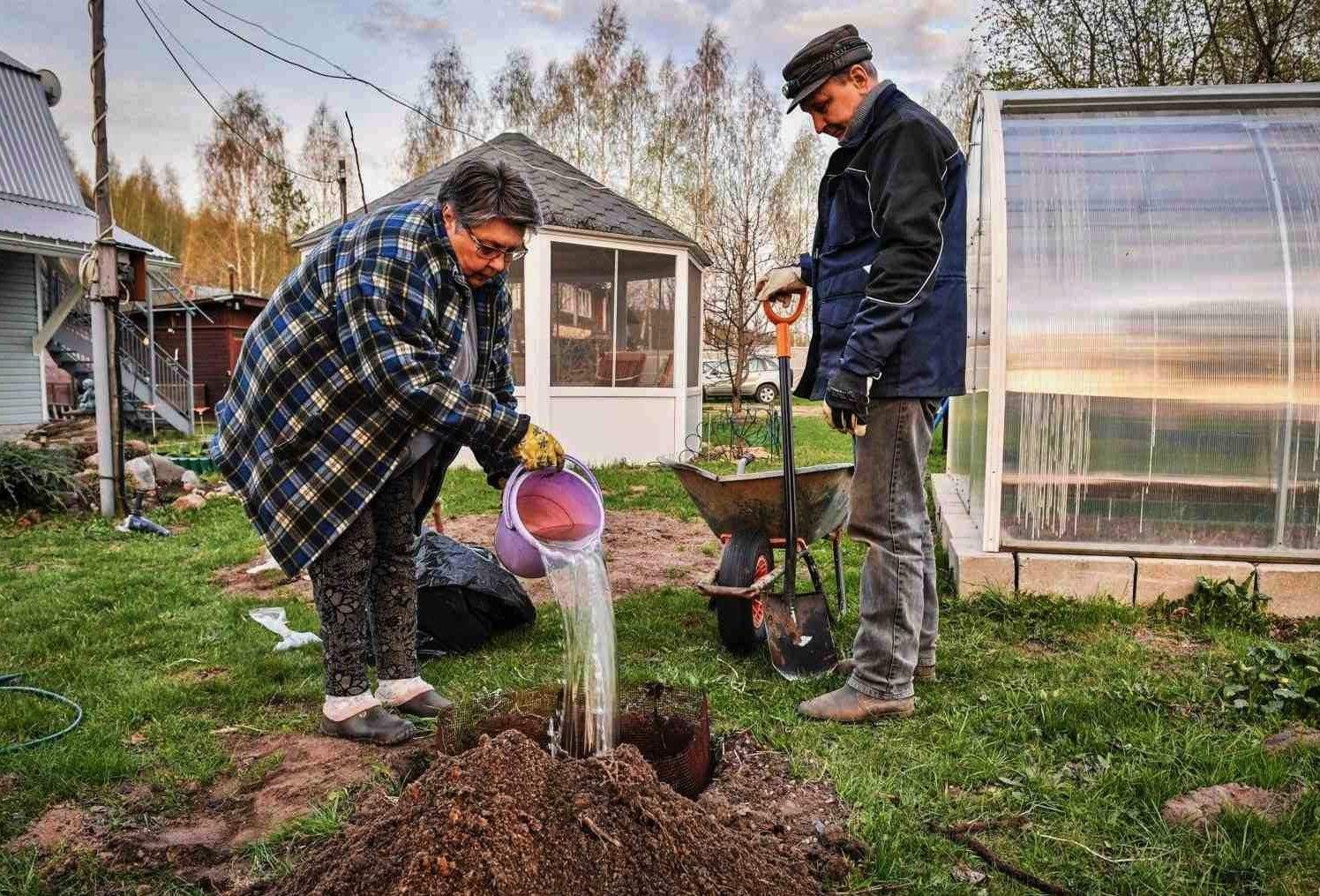 Хозяйство на даче