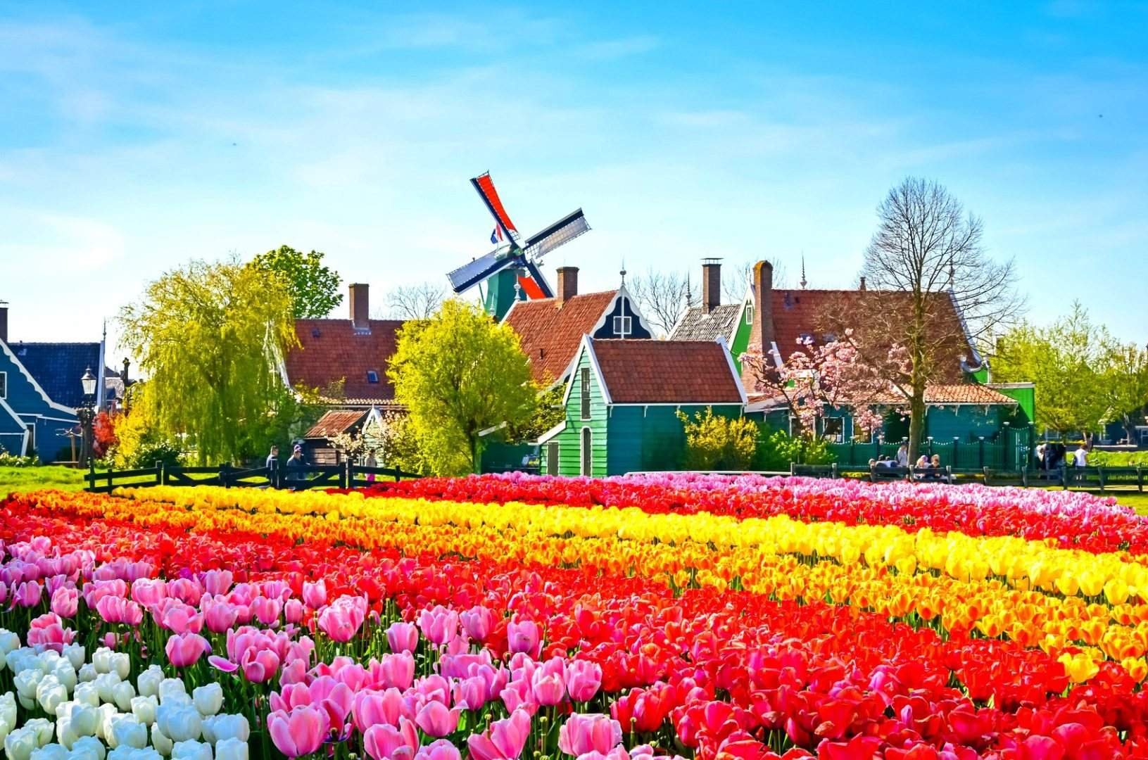 Голландия красивые