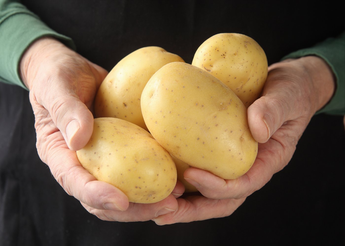 Фото картофеля бриз