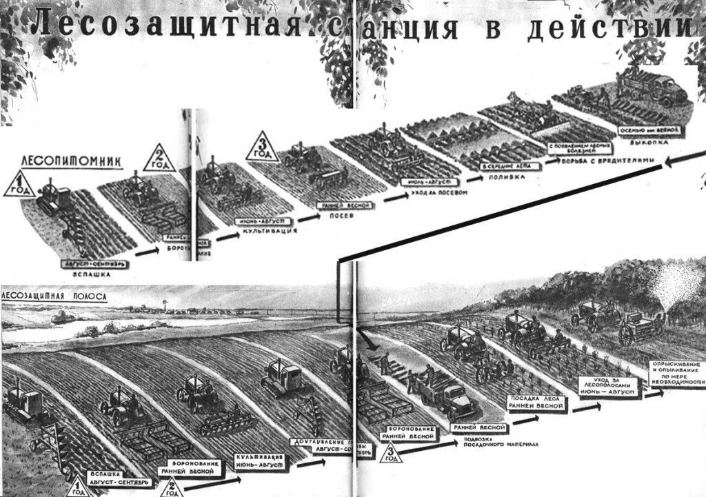 Сталинский план преобразования природы 1948 г