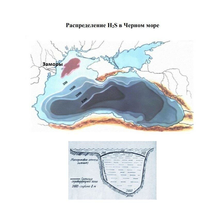 Сероводород в черном море фото