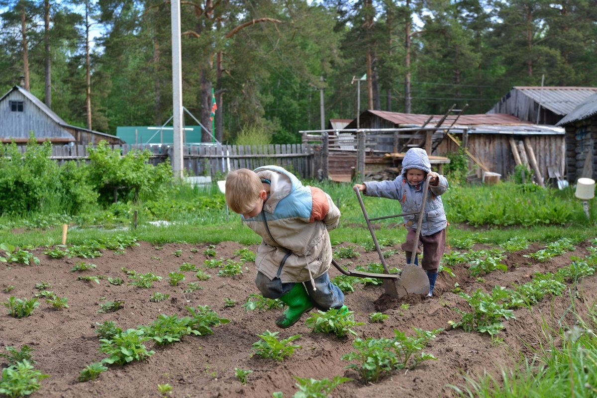 Village работа. Деревенский огород. Огород летом. Российский огород. Огород и хозяйство в деревне.