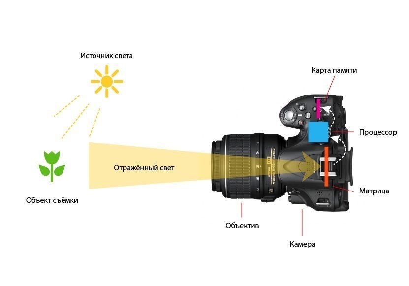 Схема работы зеркального фотоаппарата