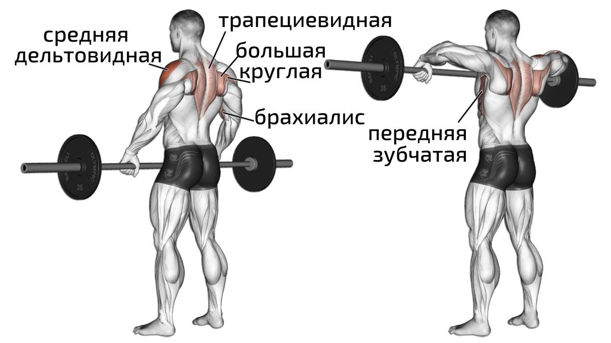 Тяга штанги к подбородку широким хватом